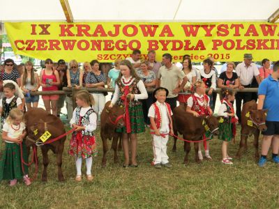 IX Krajowa Wystawa Czerwonego Bydła Polskiego - 6-7.06.2015, Szczyrzyc